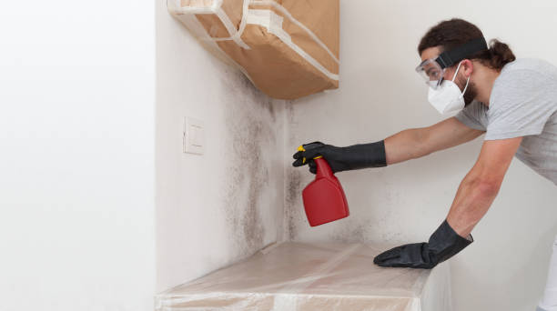 Professional Bathroom Mold Removal technician working in Sharpsburg, NC
